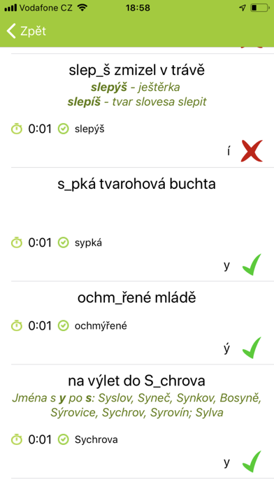 Česká gramatika screenshot 4