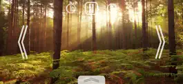 Game screenshot Relax Nature: Forest mod apk