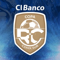 Copa RC Sur sur PC