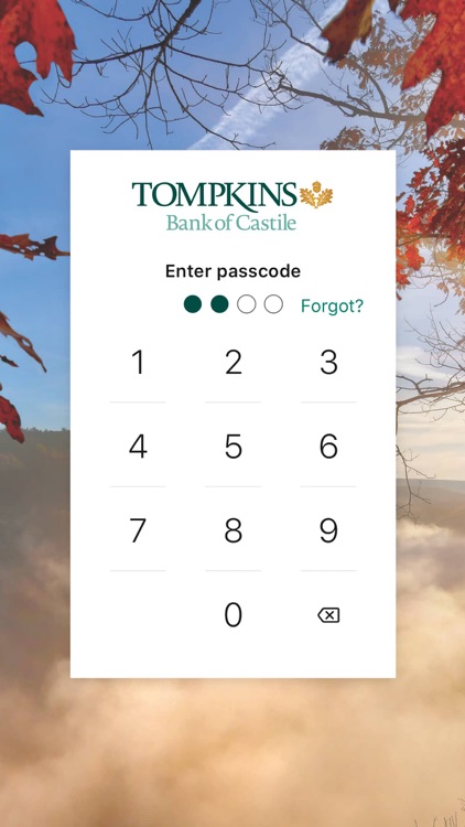 Bank of Castile Mobile