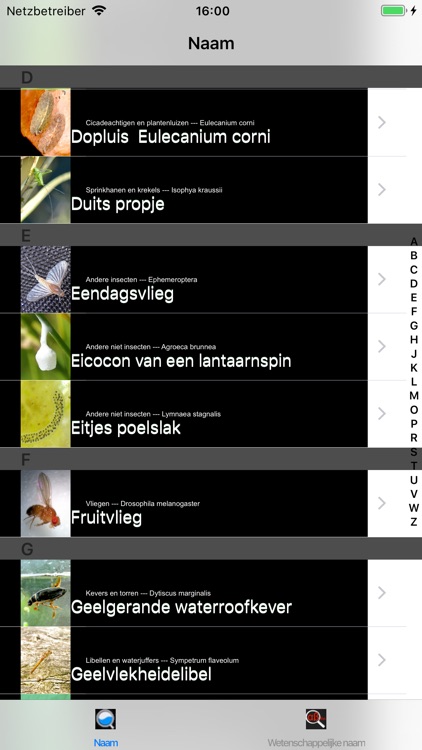 Insecten screenshot-5