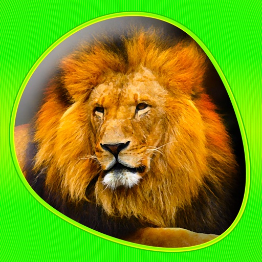 Animals 360 iOS App