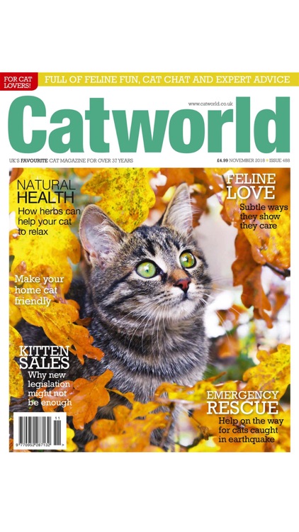 Catworld Magazine screenshot-3