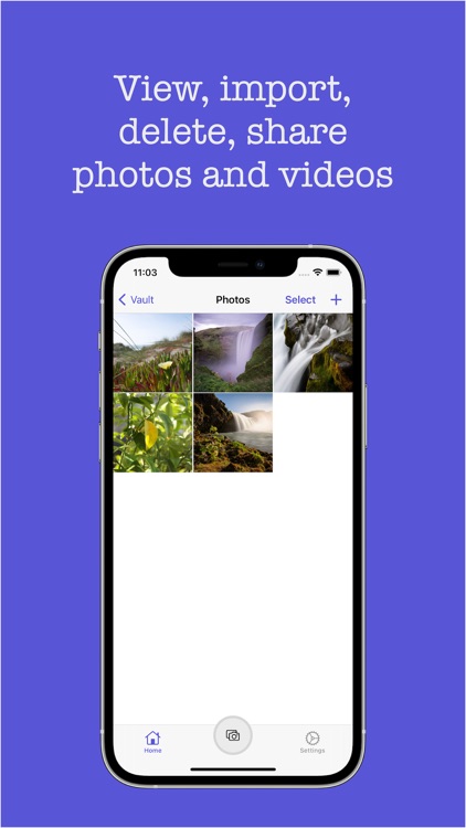 Vault - Secret storage (1234)