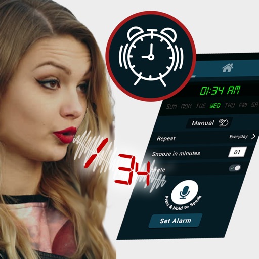 Voice Alarm icon