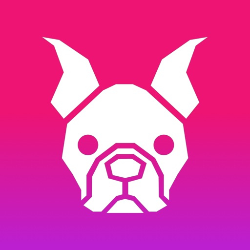 Dog Trainer with Whistle