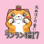 ランラン猫 17 JP