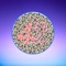 The purpose of this app is to check if you have color blindness in less than one minute