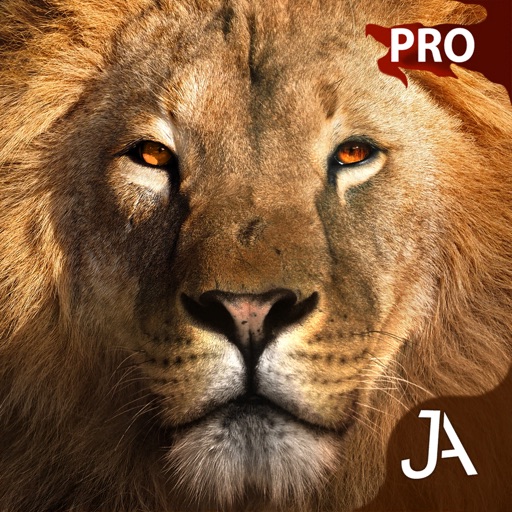 Safari: E-Pro icon