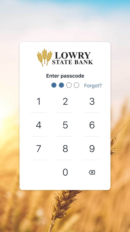 Lowry State Bank