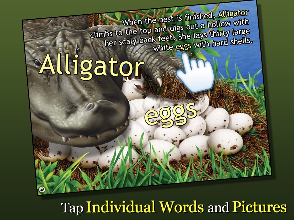 Alligator at Saw Grass Road screenshot 3