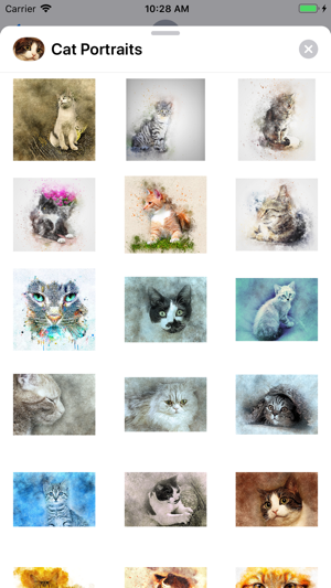 Cat Portraits(圖1)-速報App