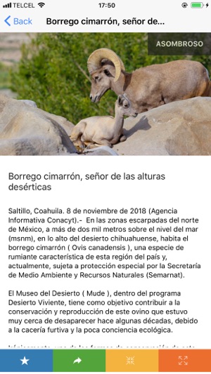 Brunoticias(圖2)-速報App