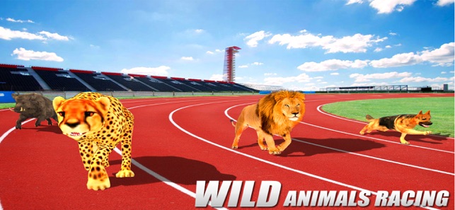 Wild Animal Racing Missions(圖5)-速報App