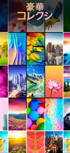 Iphone Ipadアプリ Live Wallpapers ダイナミック壁紙 と 背景 スケジュール管理 Applerank アップルランク