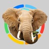 Animals 100 LITE - iPadアプリ