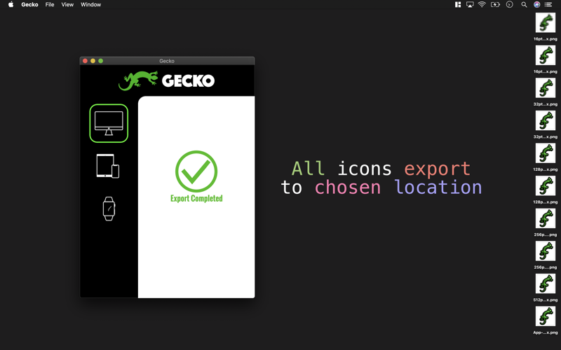Gecko screenshot 4