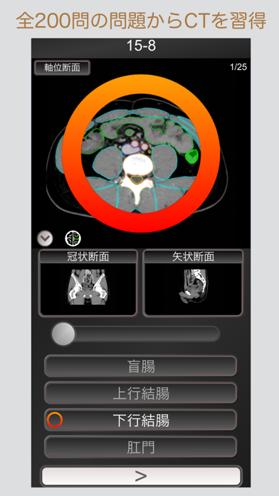 CT PassQuiz 腹部 / 断面図/... screenshot1
