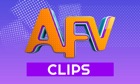 AFV