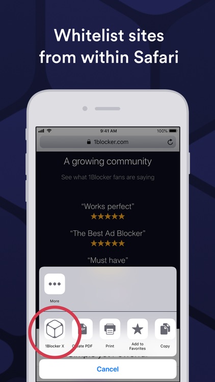 1Blocker X: Faster & Safer Web screenshot-3
