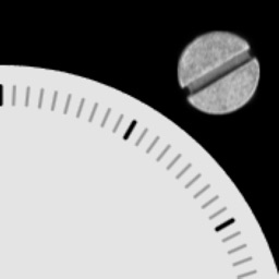 Rivets Apple Watch App