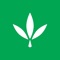 WeedPro is your go-to app for cannabis strain information