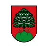 Stadt Mainburg