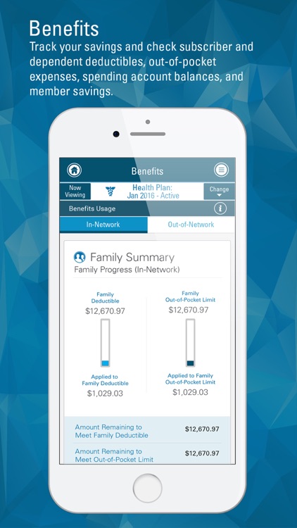Blue Connect Mobile NC screenshot-4