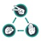 This is the simple "Rock Paper Scissors", or "Jan-ken-pon" "ジャンケンポン", "Oẳn tù tì"