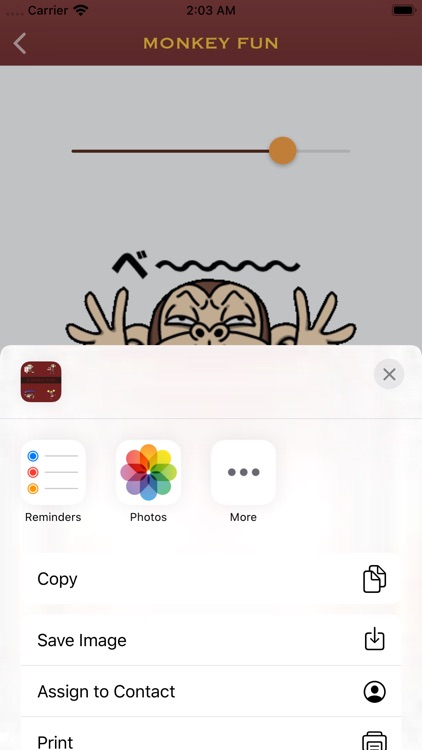 Monkey Fun Emojis screenshot-4