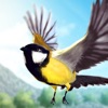 Bird Fly High 3D Simulator