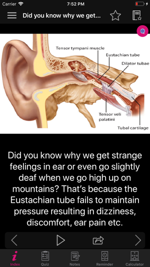 Human Anatomy Ears Facts, Quiz(圖5)-速報App