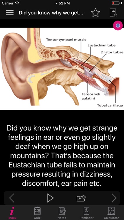 Human Anatomy Ears Facts, Quiz screenshot-4