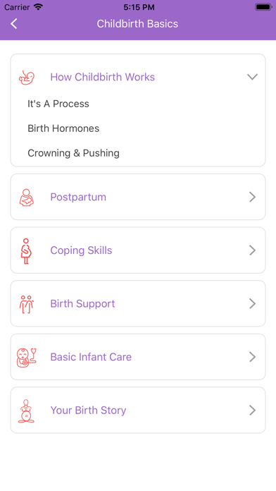 Childbirth Basics screenshot 2
