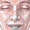ARTNATOMYA is an interactive tool intended to facilitate the teaching and learning of the anatomical and biomechanical foundation of facial expression morphology