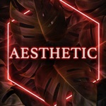 Aesthetic Live Wallpapers 动态壁纸