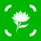 Plant Seed Snap - Identify Plants, Flowers, Trees & More