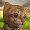Icon My Cute Little Kitten:Pet Game