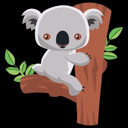 Koala Hediyelik