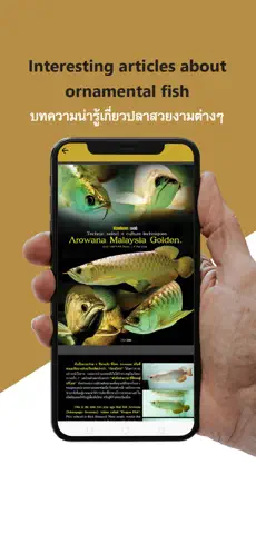 Captura de Pantalla 6 Goldenbetta iphone