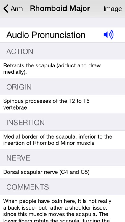 Learn Muscles: Anatomy screenshot-4