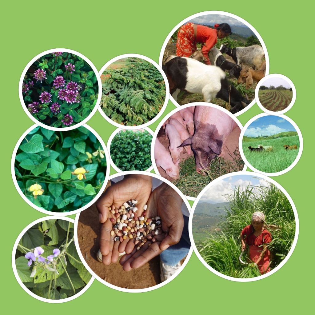 Get Tropical Forages for iOS, iPhone, iPad Aso Report