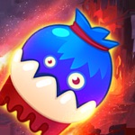 Cute pet run