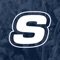 The Skoresheet app provides statistical data for players, coaches, recruiters, and families to evaluate