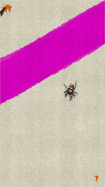 Spider Chord screenshot-7