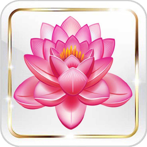 Spa Meditations, LLC