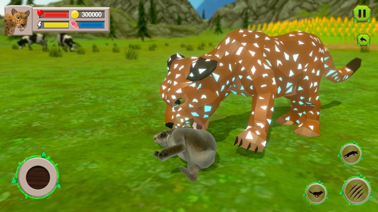 Wild Leopard Safari - Online screenshot-3