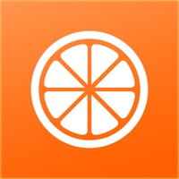 Juicing Recipes Guide