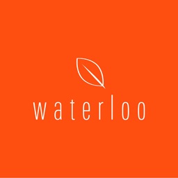 Waterloo Tea