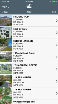 Amelia Island Real Estate iPhone image 2